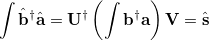 \begin{equation}  \int \hat{\ensuremath{\mathbf{b}}}^{\dagger }\hat{\ensuremath{\mathbf{a}}} = \ensuremath{\mathbf{U}}^{\dagger } \left( \int \ensuremath{\mathbf{b}}^{\dagger }\ensuremath{\mathbf{a}} \right) \ensuremath{\mathbf{V}} = \hat{\ensuremath{\mathbf{s}}} \end{equation}