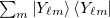 $\sum _ m \left| {Y_{\ell m} } \right\rangle \left\langle {Y_{\ell m} } \right|$