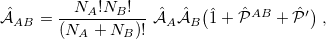 \begin{equation} \label{eq:AB_ antisymmetrizer} \Hat {\cal A}_{AB} = \frac{N_ A! N_ B!}{(N_ A+N_ B)!} \;  \Hat {\cal A}_ A \Hat {\cal A}_ B\bigl ( \Hat {1} + \Hat {\cal P}^{AB} + \Hat {\cal P}’ \bigr ) \;  , \end{equation}